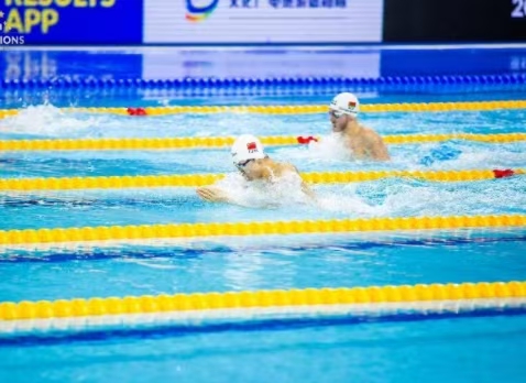 2020年FINA冠軍游泳系列賽（深圳站）